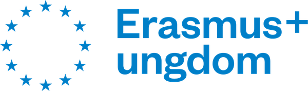 Erasmus+ ungdom, Bufdir